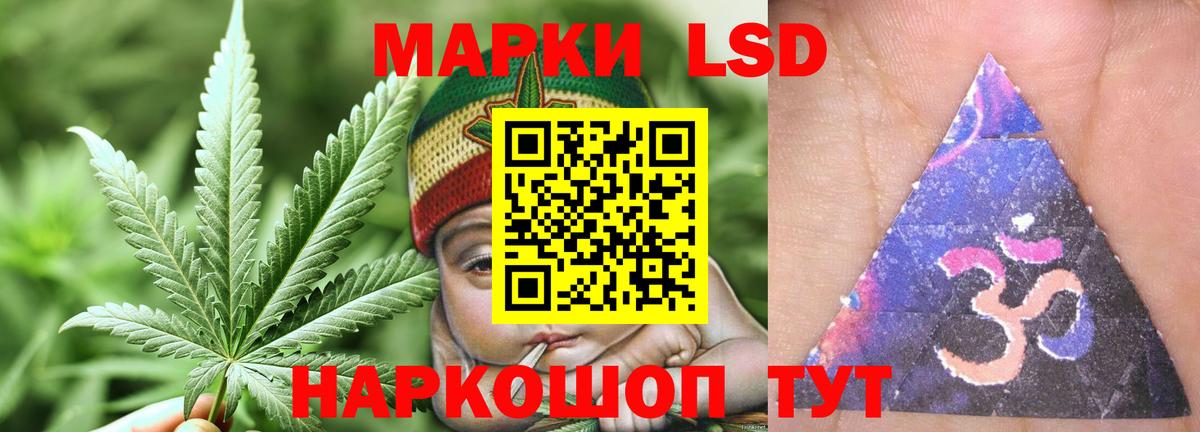 Новокубанск  ЛСД экстази  LSD-25 экстази ecstasy  Вход с VPN  LSD-25 экстази ecstasy 