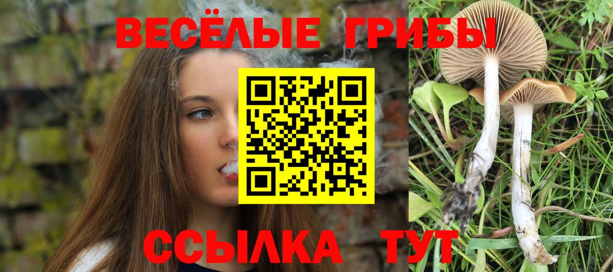 Галлюциногенные грибы ЛСД  Вход с VPN  Новокубанск 